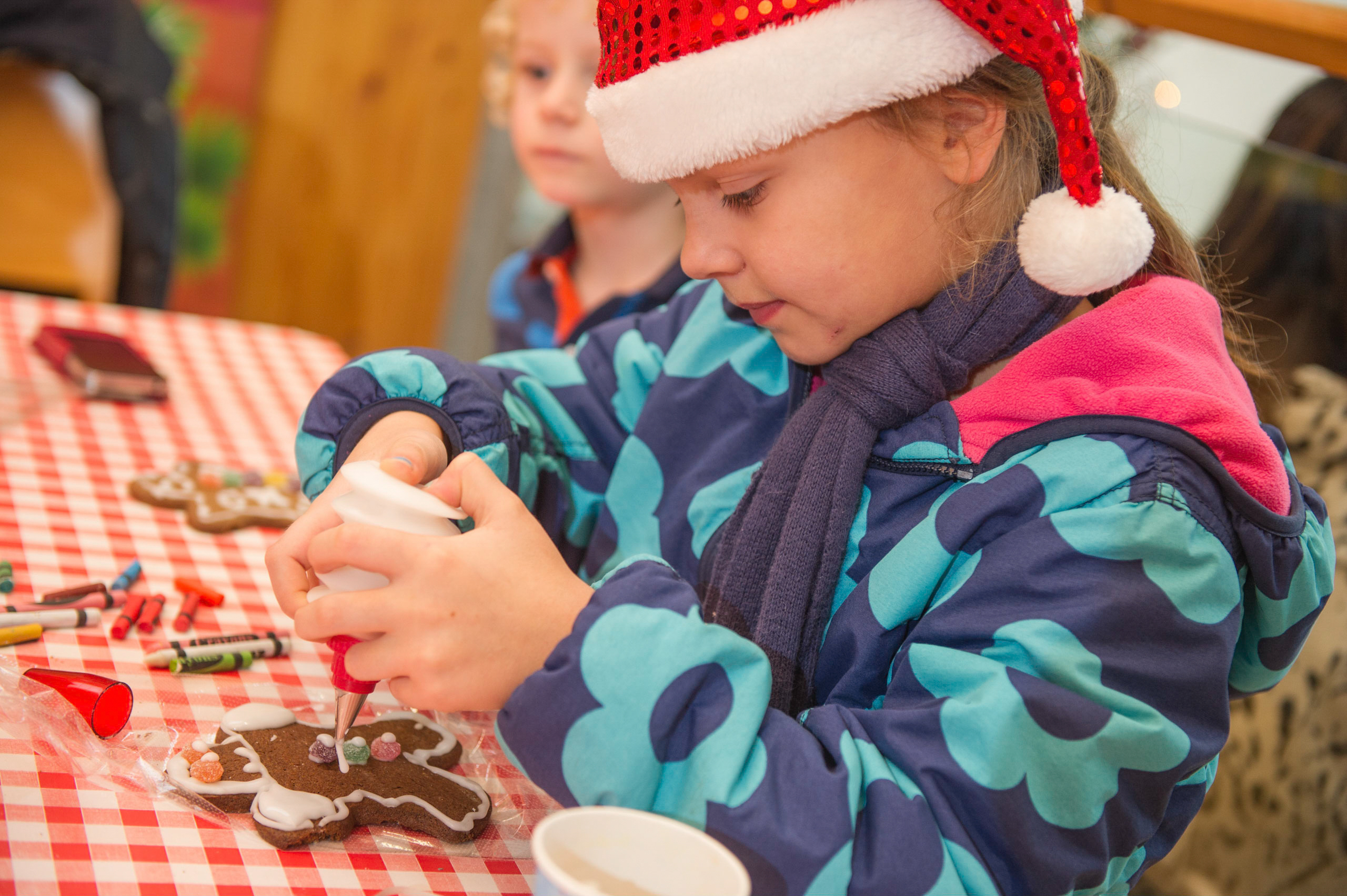 Festive Family Fun Days