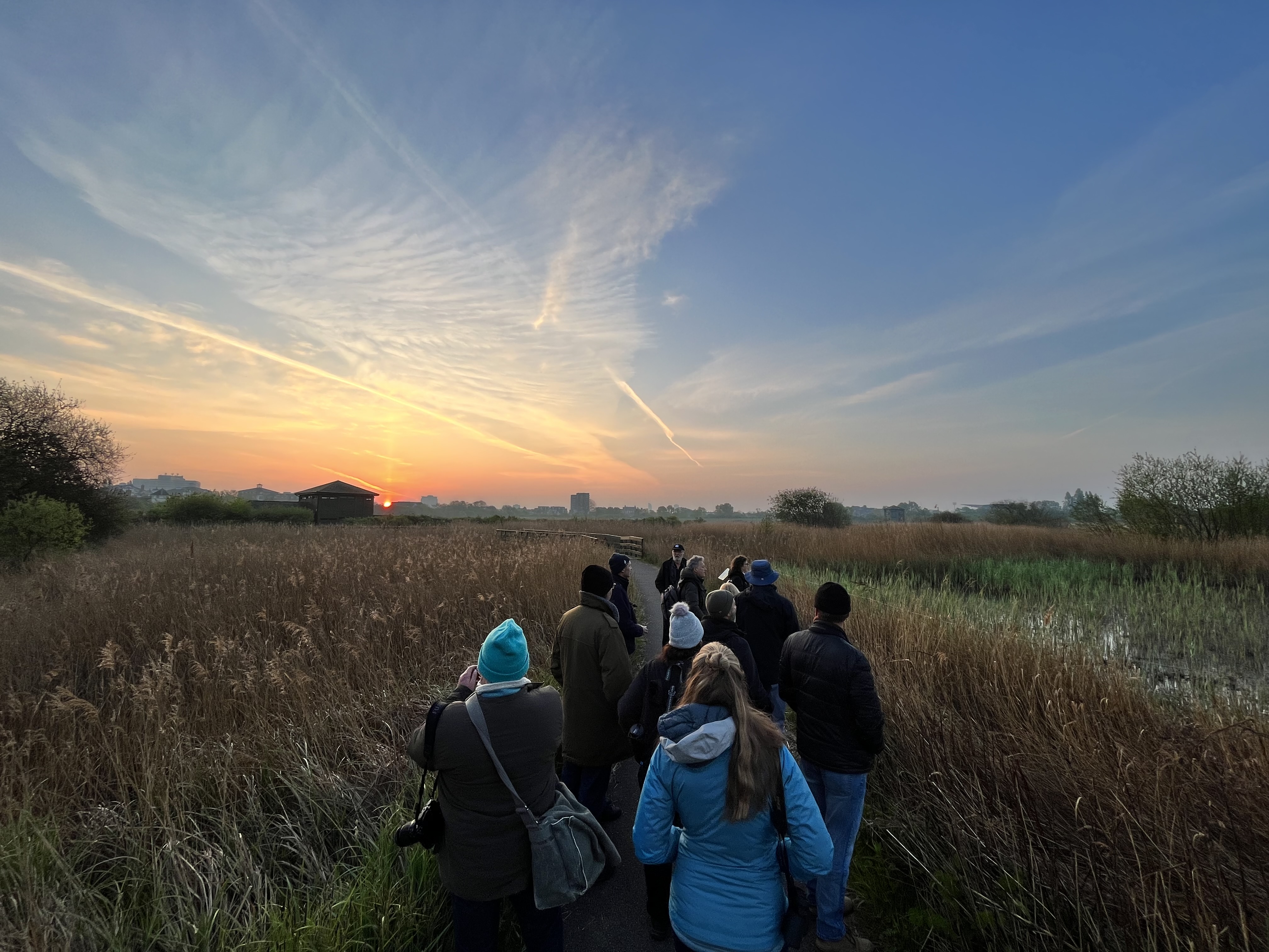Early-Morning Winter Bird Walks