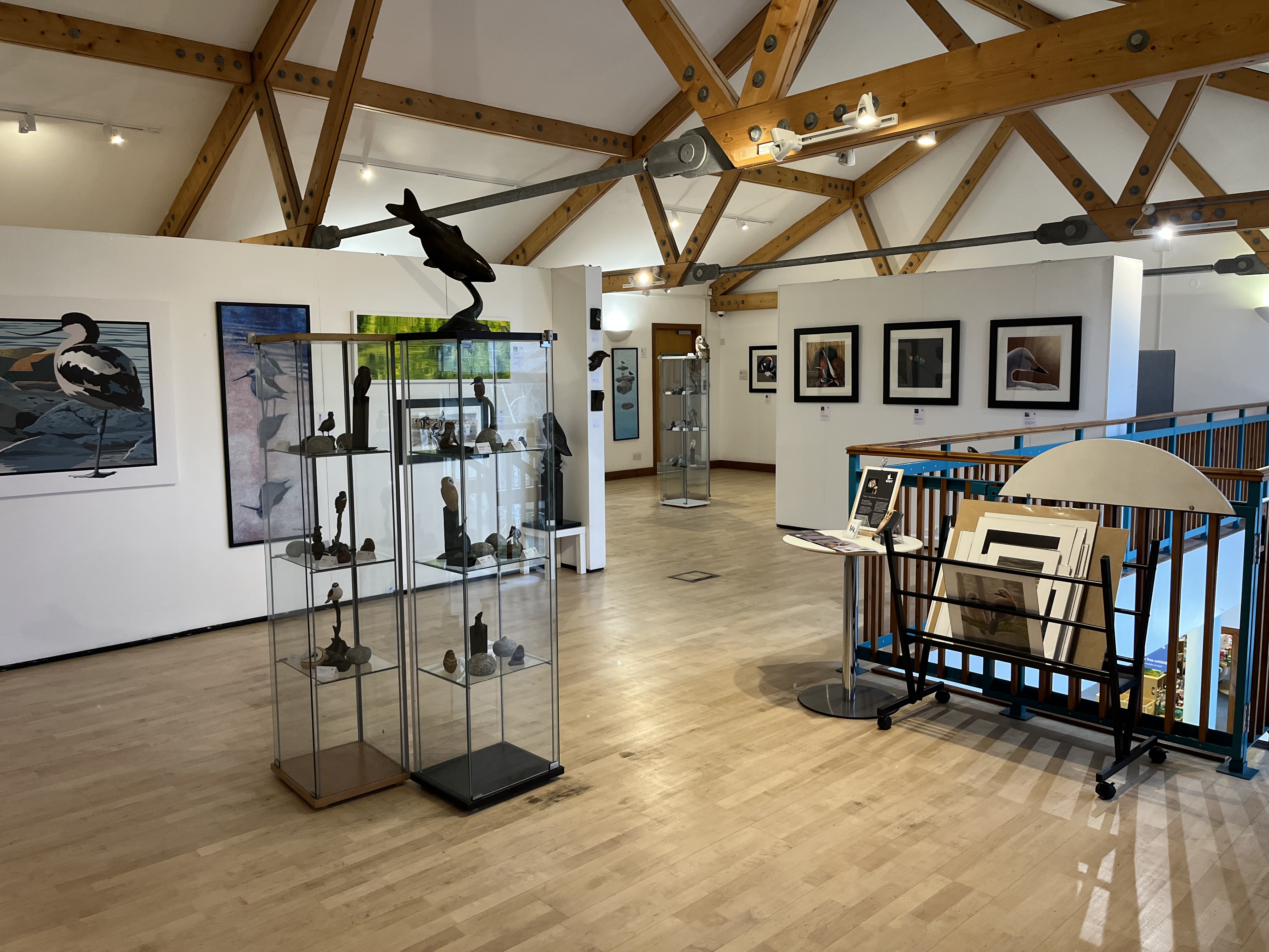 Tracy Newman: Wetland Wildlife Art Exhibition