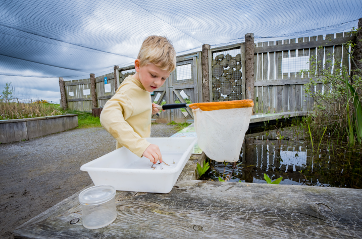 Easter pond dipping