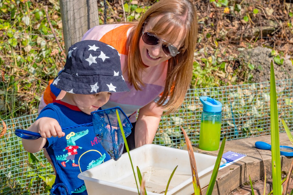 Pond Dipping