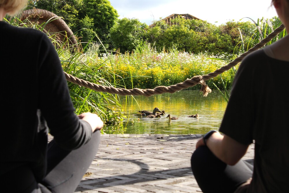 Morning Waterside Yoga