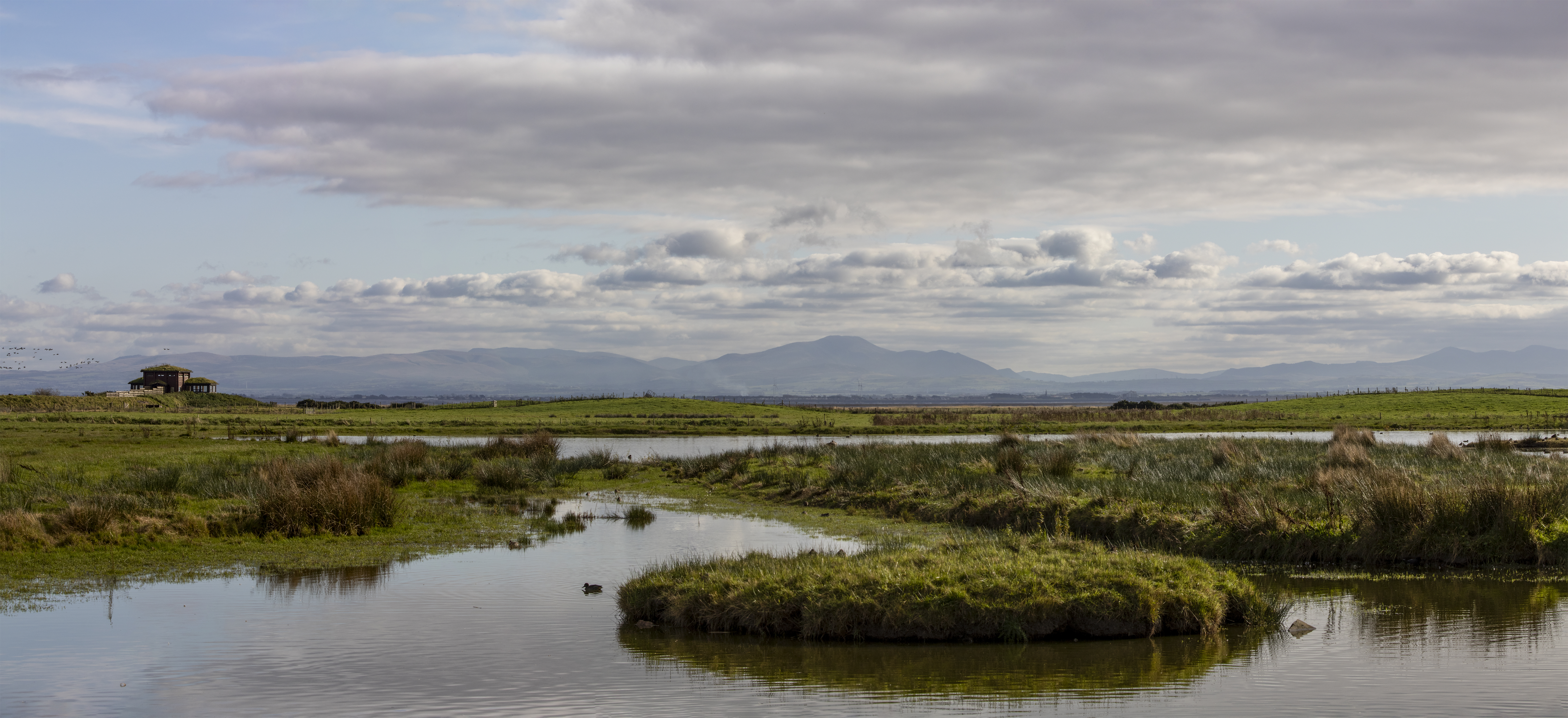 Welcome Back to WWT Caerlaverock
