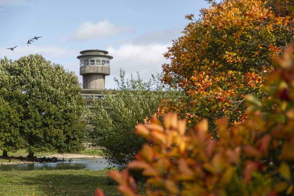 Autumn Horticulture Walk