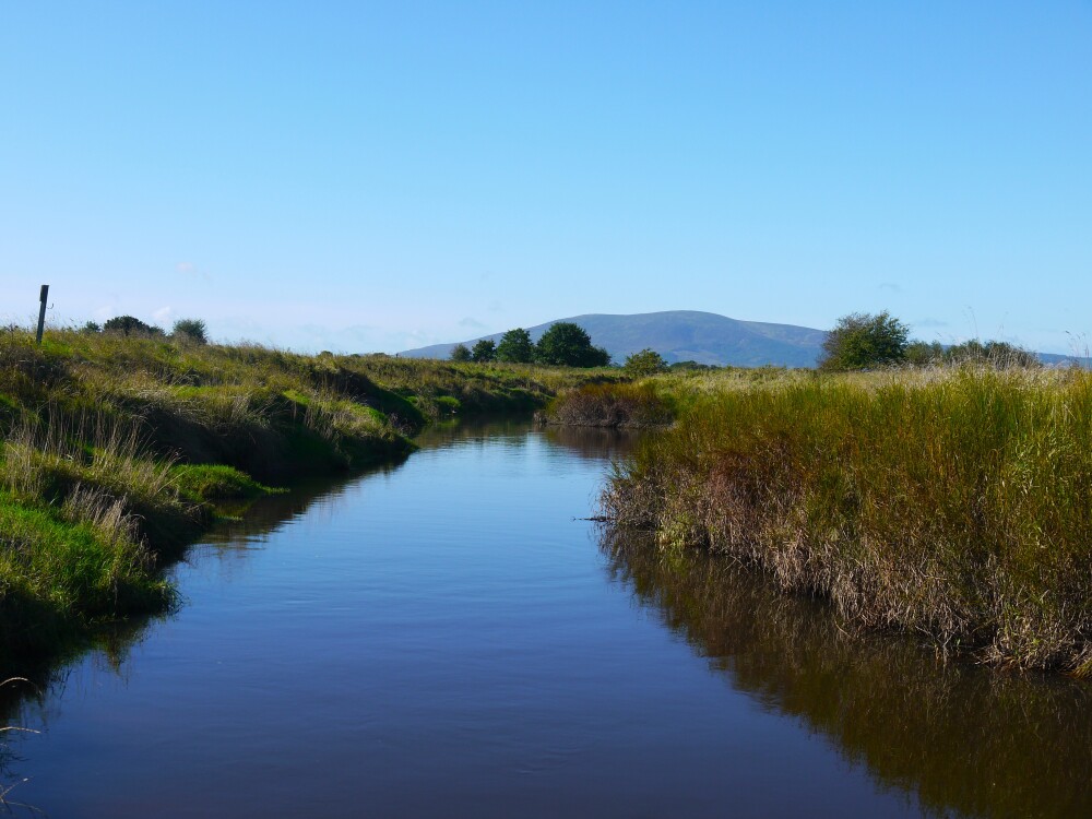 Big River Watch at WWT Caerlaverock