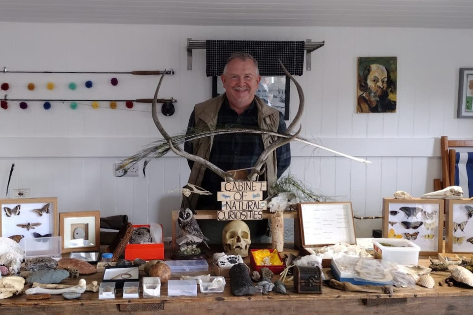 Michael Turner's Cabinet of Natural Curiosities