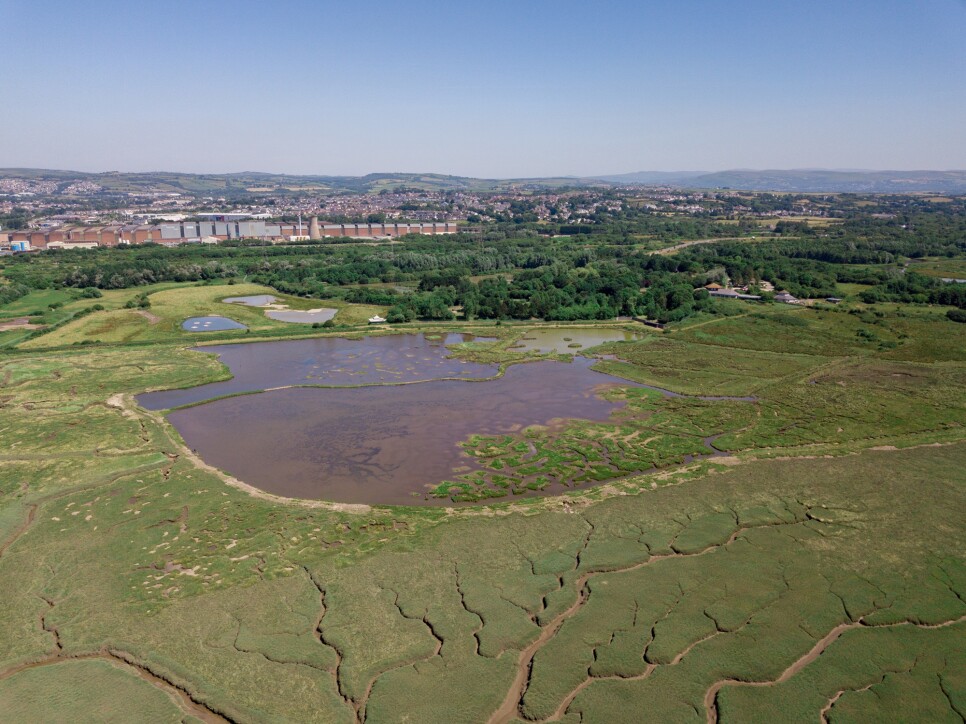 WWT to create bigger, more connected wetlands in Wales thanks to funding boost