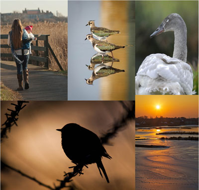 WWT Photography Competition - winter winners for London