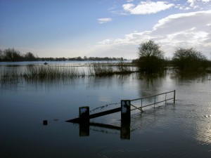 Flooded fen by Alan Payne