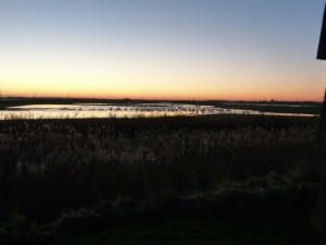 Dawn breaking over the new wetlands by Leigh Marshall