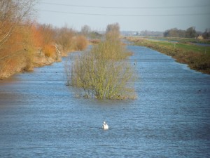 Flooded footpaths New Years day by Ken Rowe