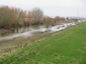 Footpaths with receding water