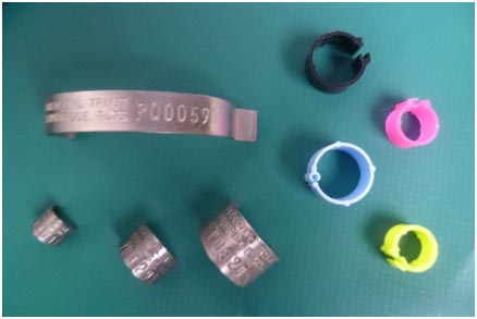 Metal  wildfowl rings and examples of the additional plastic rings