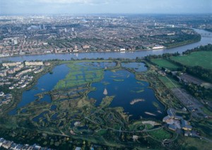 Aerial view of WWT London Wetland Centre - Berkeley Homes