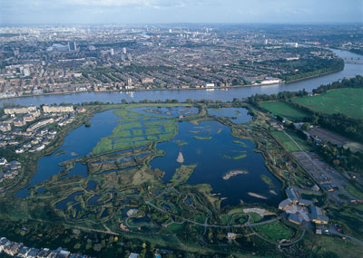 WWT London Wetland Centre In The Top-performing 10% Of Businesses World ...