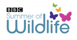 BBC Summer of Wildlife