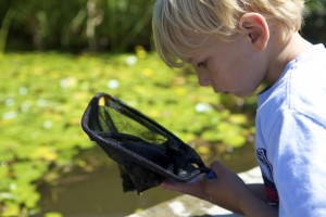 Boy pond dippng at Slimbridge by Ben Langdon photography