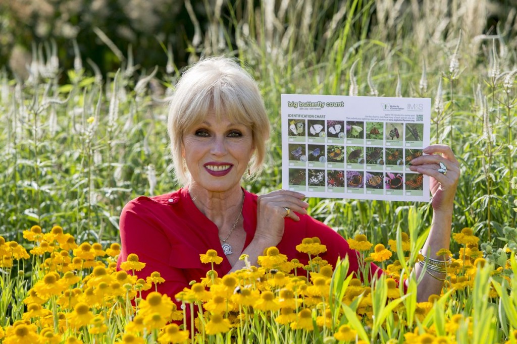 Joanna Lumley Promoting the Butterfly Survey at the London Wetland Centre