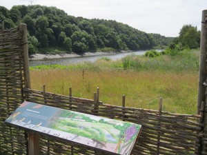The river reedbed at the saline lagoon