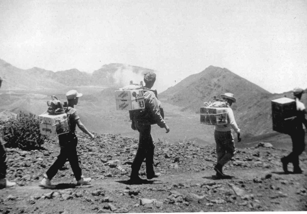 Carrying some of the first introduced Nene to their release site.