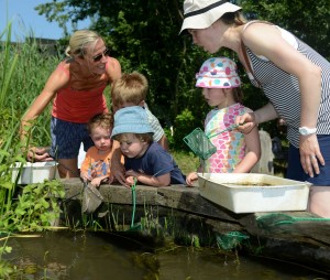 Visitors taking part in  pond dipping