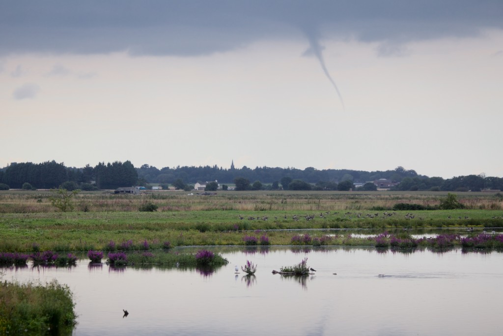 Cloud Funnel in the distance this afternoon (photo: T. Disley)
