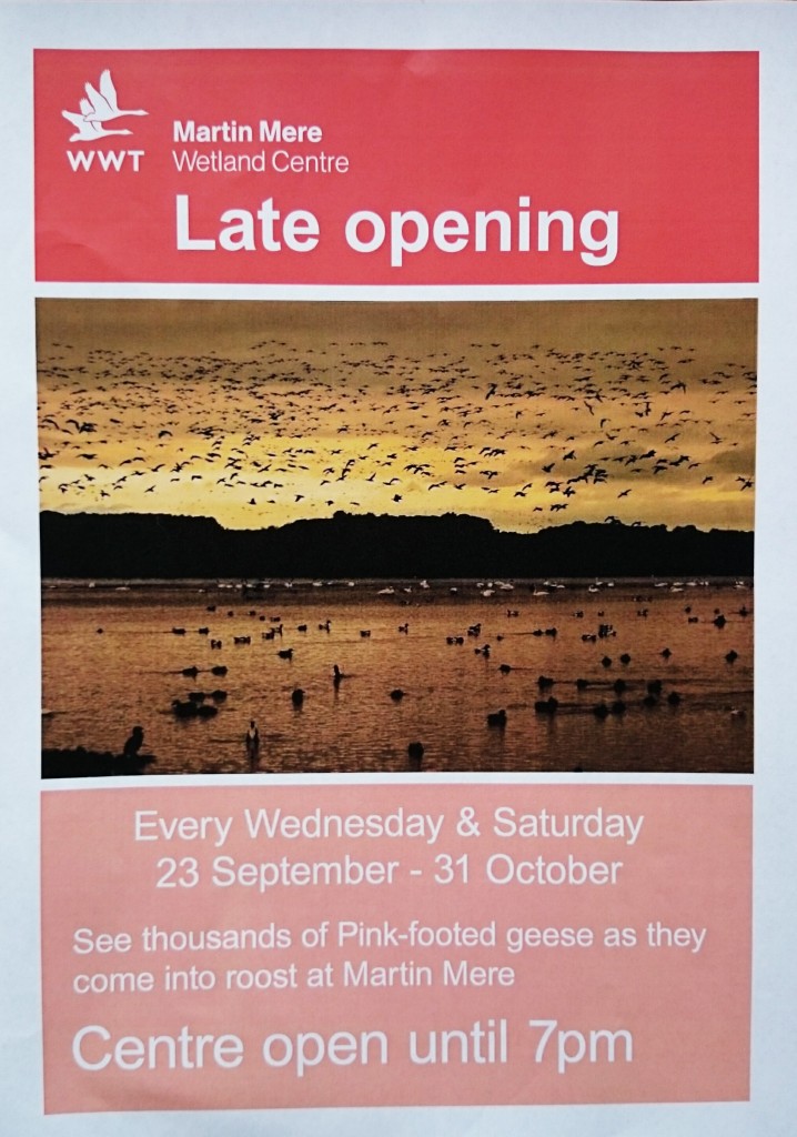 Late opening dates 