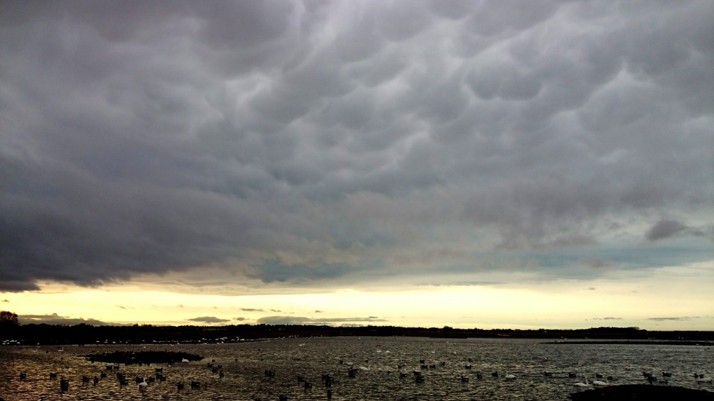Mammatus clouds early afternoon!