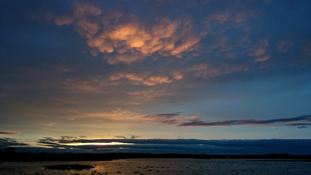 Mammatus clouds at dusk yesterday