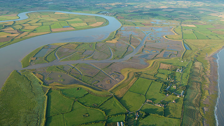 Environment Secretary visits WWT Steart Marshes