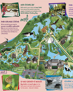 Experience Arundel Wetland Centre WWT