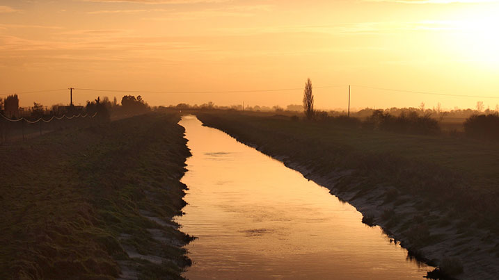 Wetlands' future is 