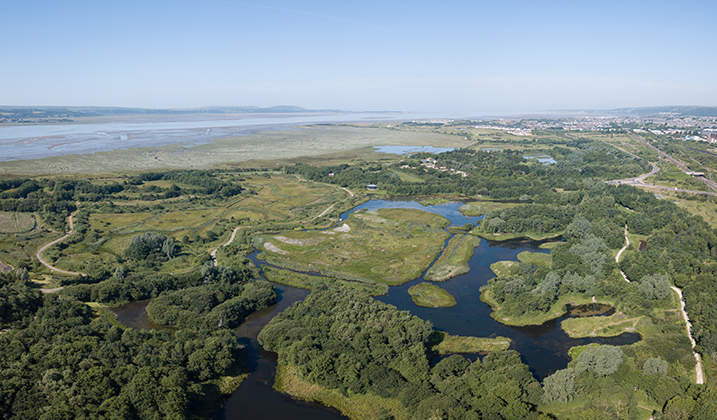 Visit WWT Llanelli