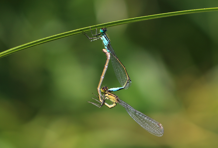 Sightings for Saturday 31st August