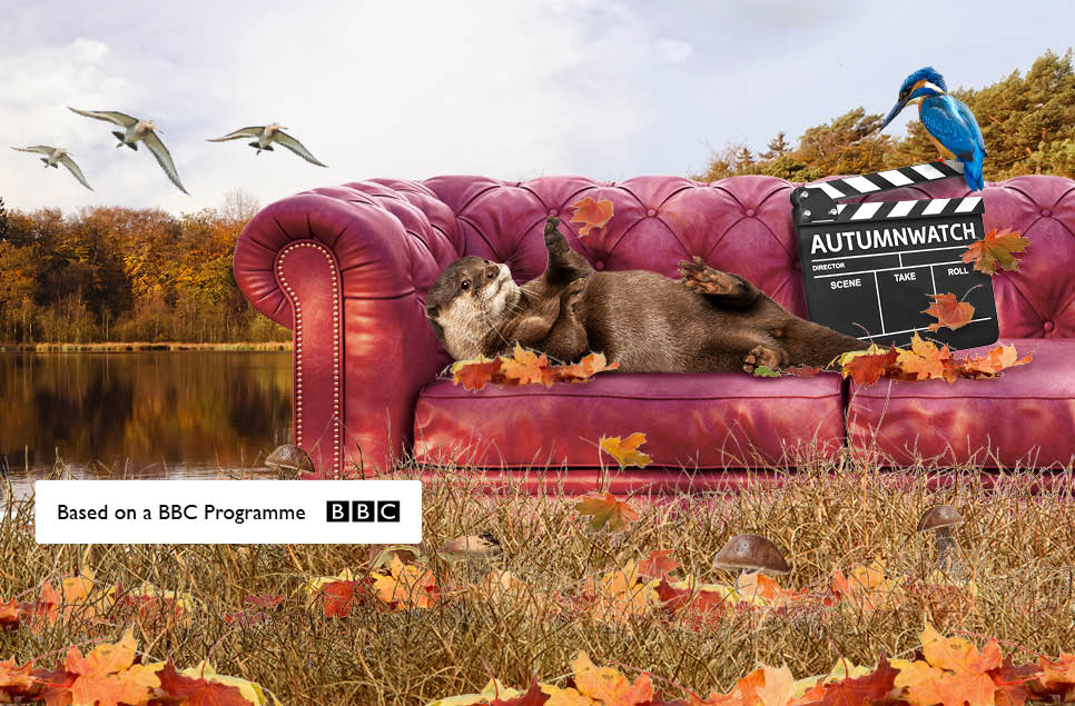 Become a Wildlife Presenter with the BBC Autumnwatch Experience