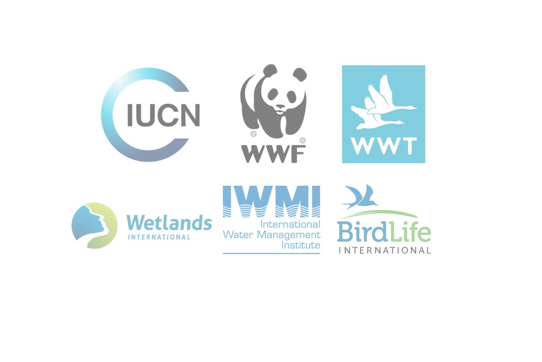 Commit to saving wetlands to solve the biodiversity and climate crises this World Wetlands Day