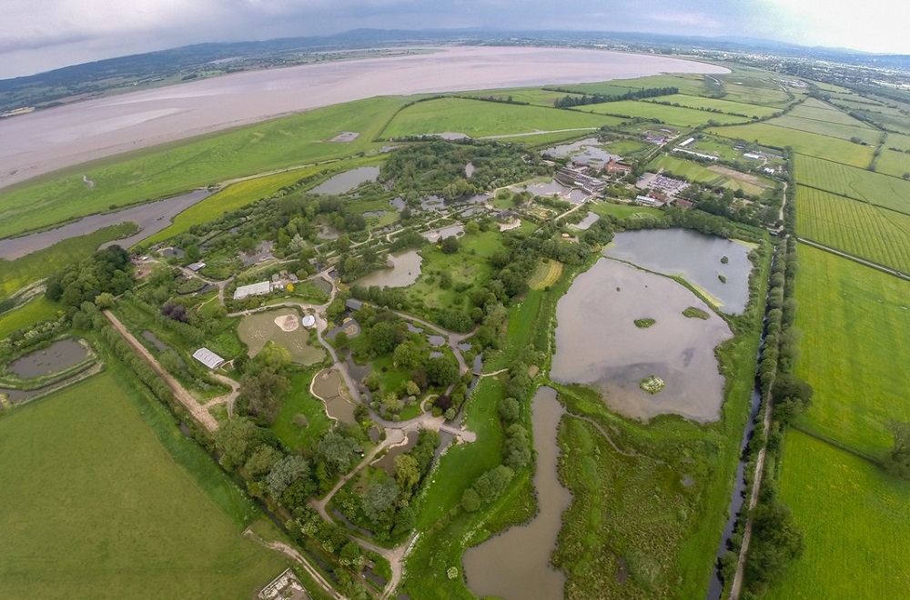 Slimbridge Wetland Centre WWT