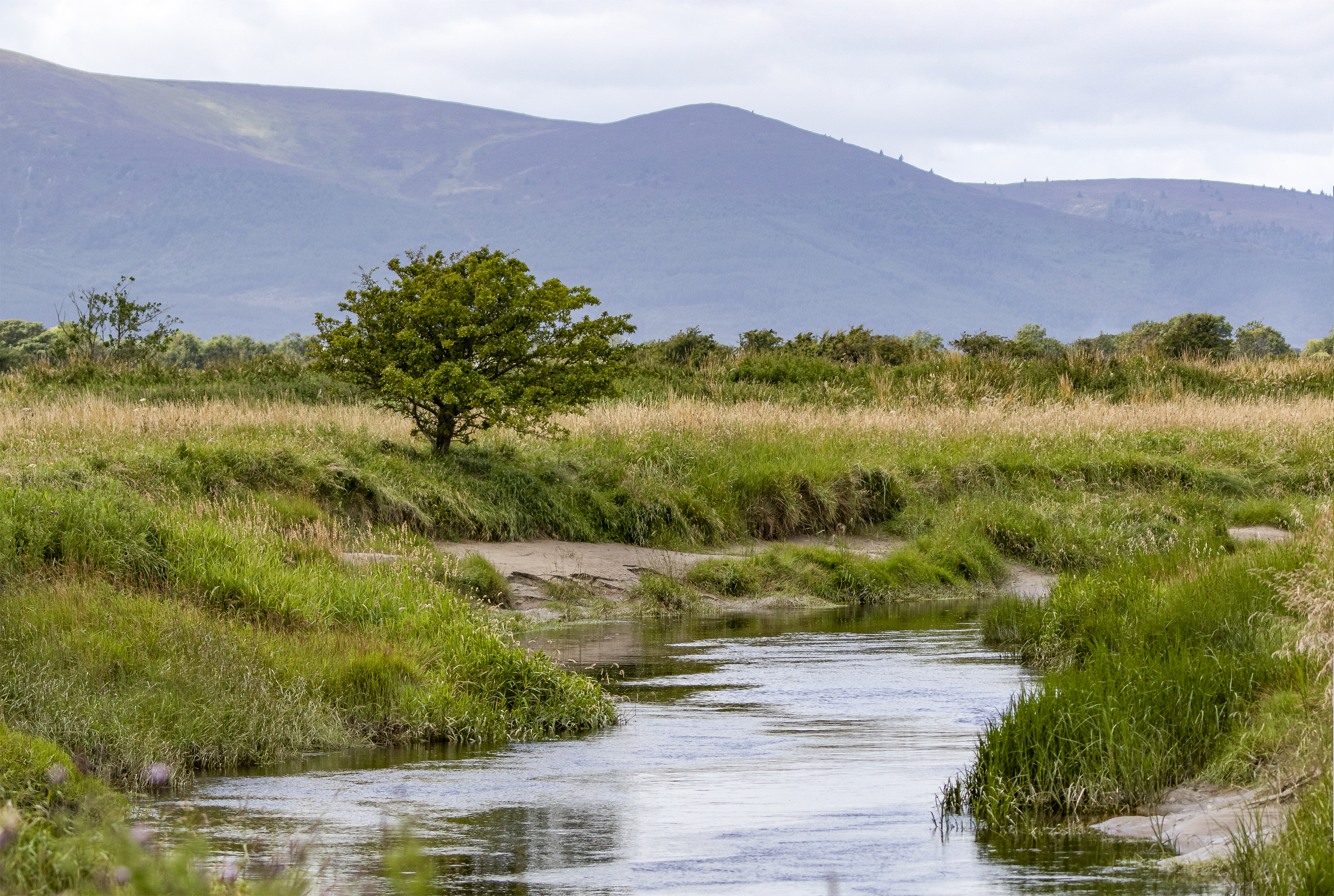 Make a splash at Caerlaverock, with an outdoors summer for all!