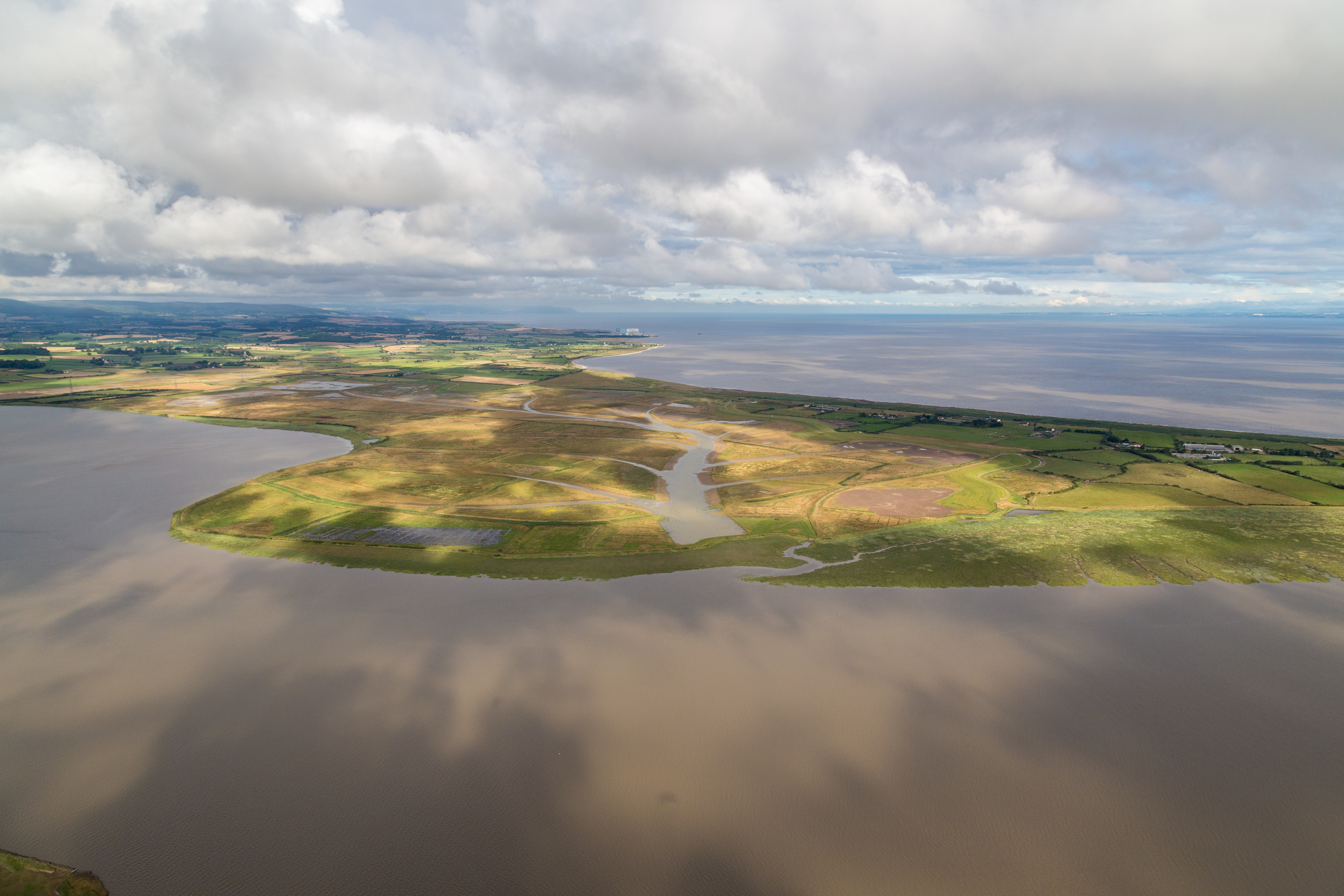 WWT receives grant of £1.58m to protect and enhance Somerset coast