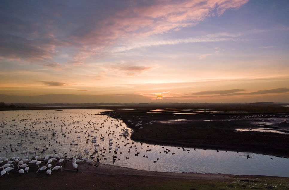 On World Wetlands Day charities collaborate to launch wetlands and wellbeing guide