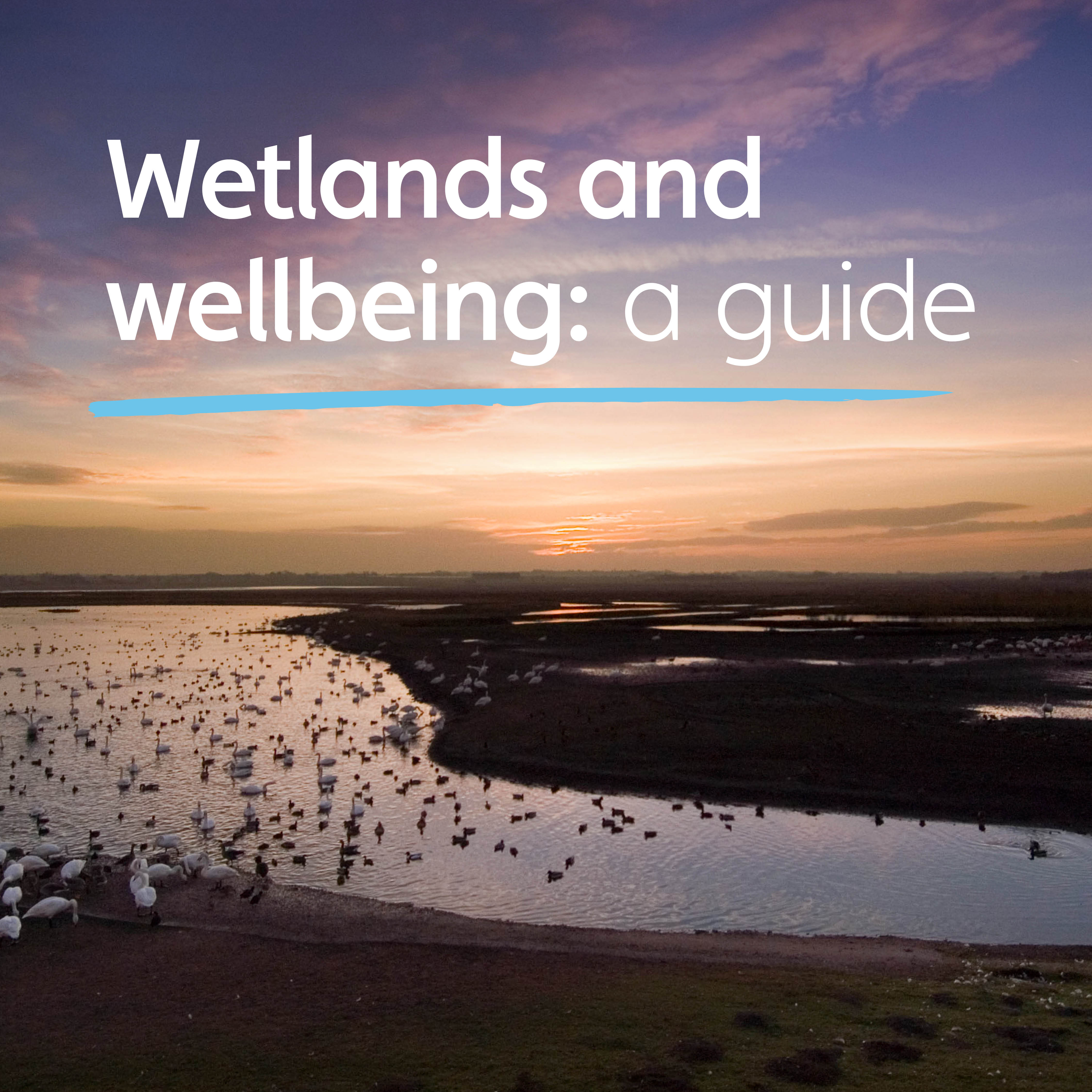 WWT & Mental Health Foundation launch wellbeing guide