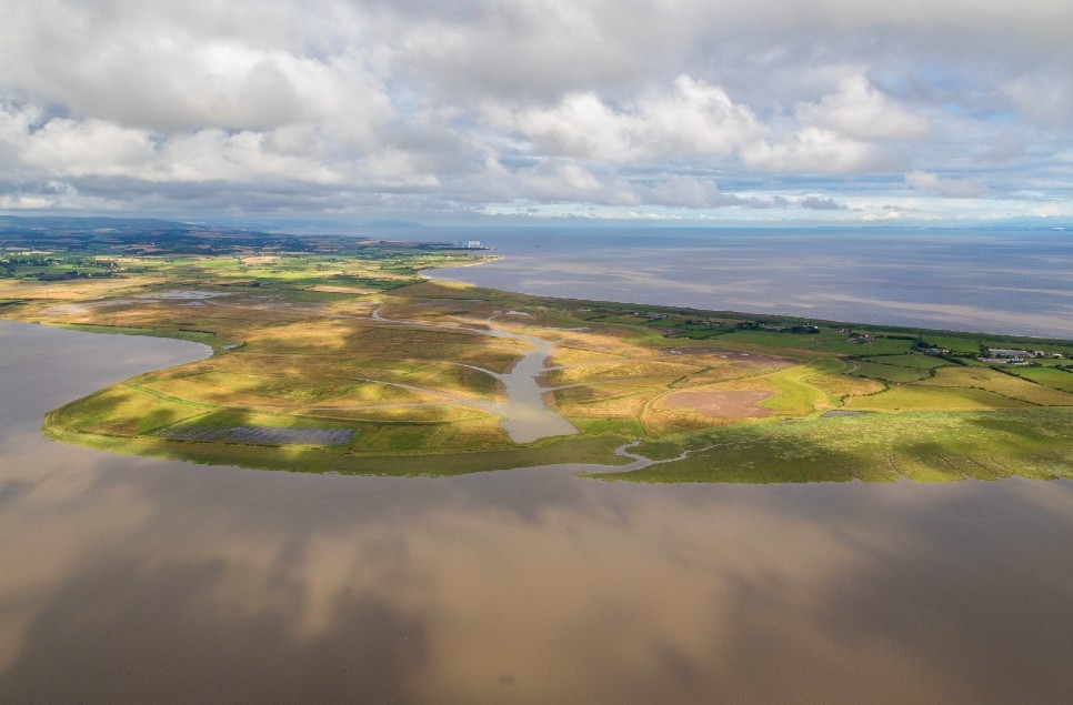 WWT welcomes UK risks report that highlights role of nature in tackling climate crisis