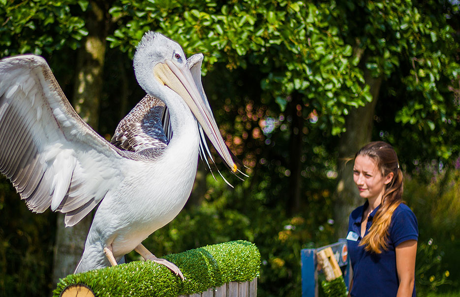 Wetland wonders for your next staycation