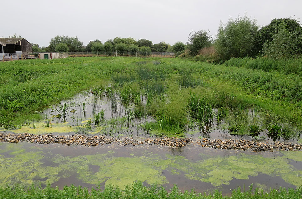 Slimbridge wetland system is treat for water and wildlife