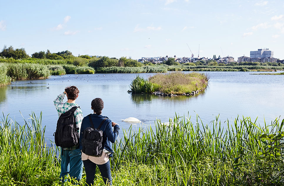 WWT calls for increasing access to wetlands to be a key part of Levelling Up