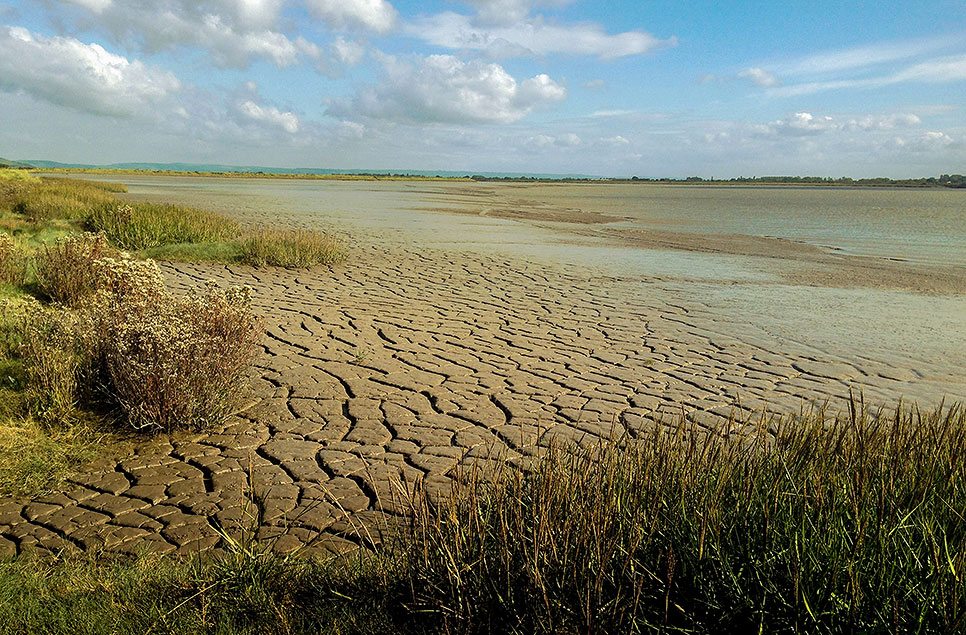 IPCC highlights the multiple benefits of restoring wetlands to combat climate change