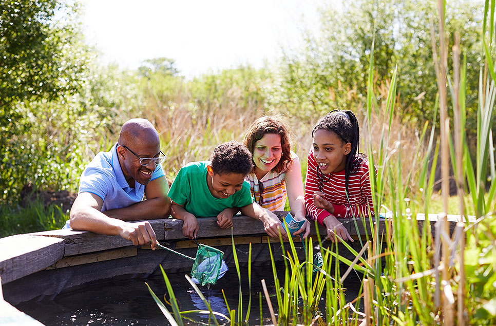 Become a Wetland Ranger this Summer 