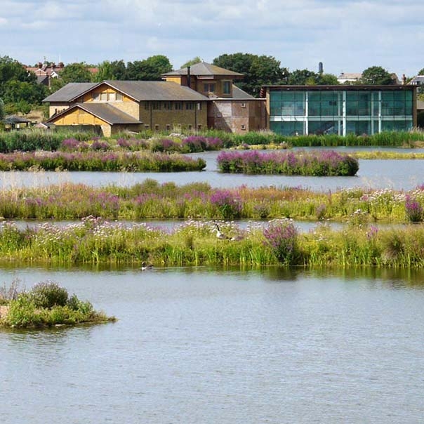 London Wetland Centre Wwt