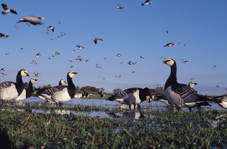 Stewartry Camera Club Exhibition