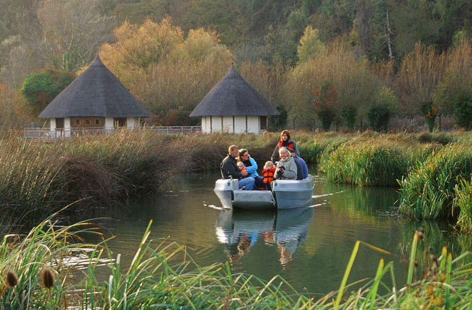 Connect with nature this autumn at Arundel